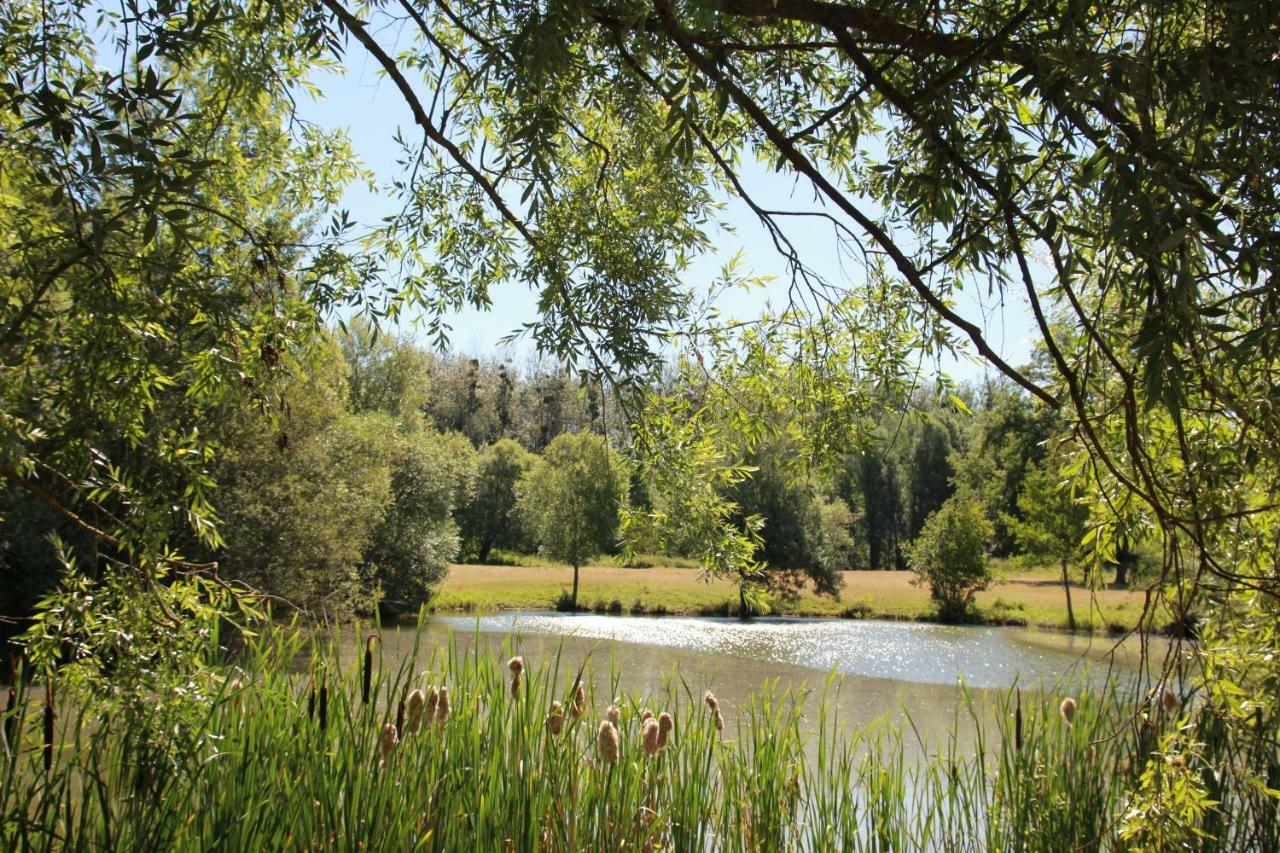 La Bergerie Du Domaine Des Buissonnets Villa Ecardenville-sur-Eure Luaran gambar
